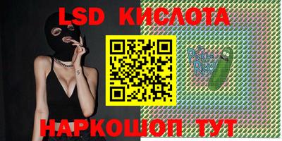 молекула духа Будённовск