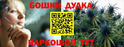 молекула духа Будённовск