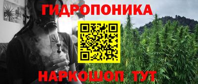 молекула духа Будённовск
