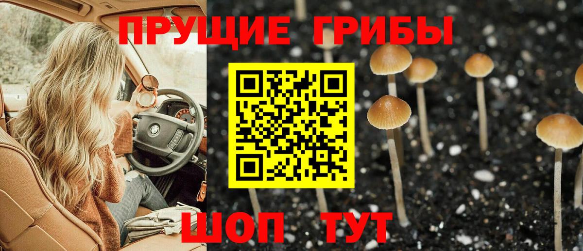 Галлюциногенные грибы Cubensis Санкт-Петербург