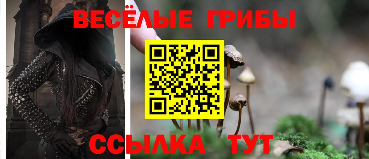 Санкт-Петербург  где найти наркотики  Вход с VPN  Псилоцибиновые грибы Psilocybe  Псилоцибиновые грибы прущие грибы 